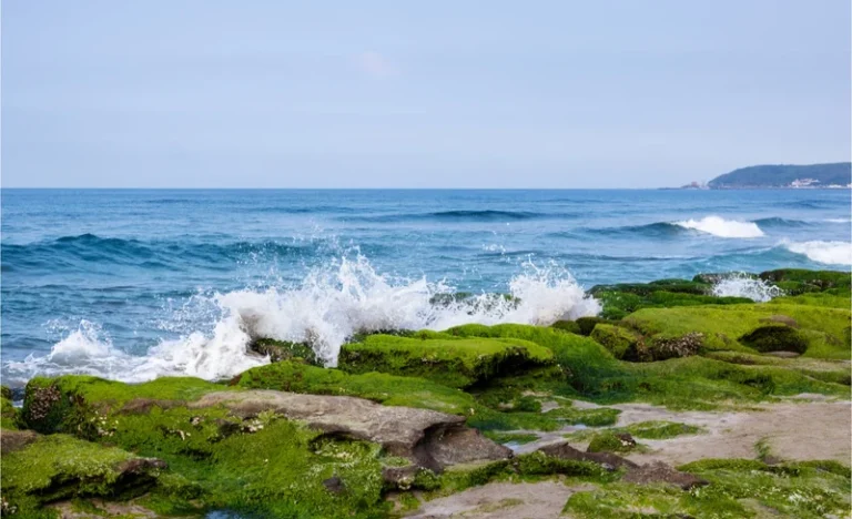 ugcpljnvuaf3lfqrdinr