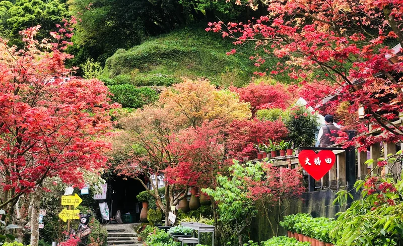 台北大梯田花卉生態農園門票-KLOOK