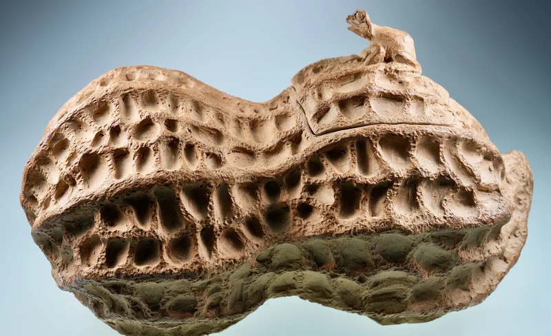 21風味館 - 即享券-KLOOK