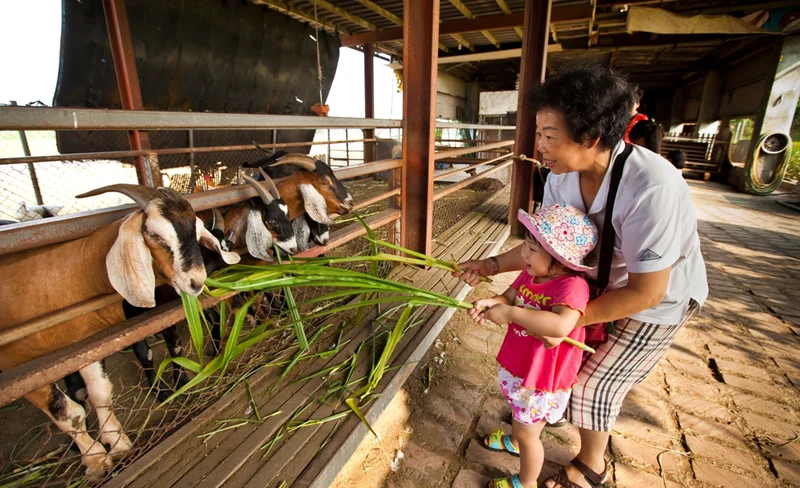 宜蘭可達休閒羊場門票-KLOOK