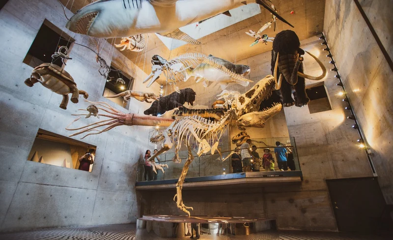 台南山線包車一日遊：左鎮化石園區、308高地、草山月世界包車熱門景點-KLOOK