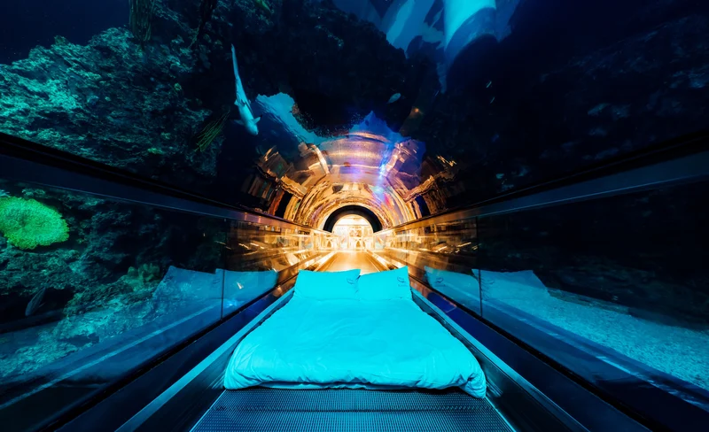 夜宿海生館體驗-KLOOK