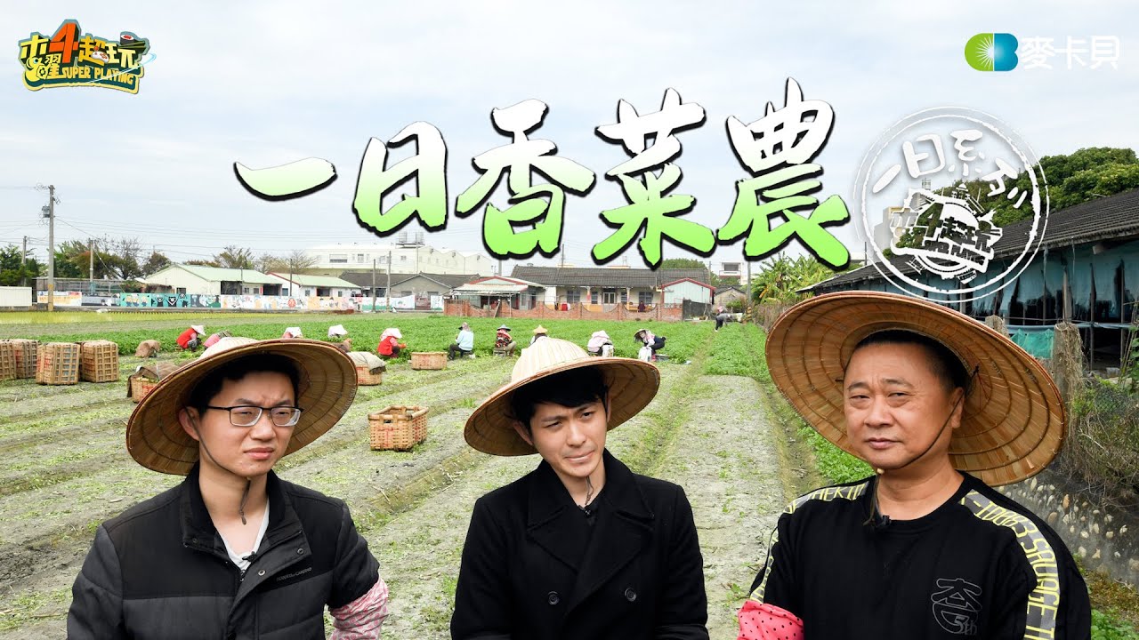 《一日系列第一百三十二集》邰智源竟然要去收成香菜還要試吃香菜料理!!!-一日香菜農Feat.博恩、視網膜