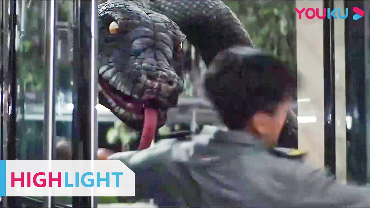 诡异巨蛇召唤蛇群闯进学校，美女空姐与巨蛇的生存大逃脱！|【巨蛇闯女校 Rising Boas in a Girl’s School】| YOUKU MOVIE | 优酷电影