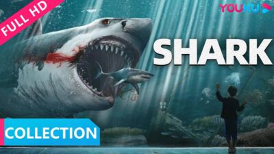 【巨鲨之夺命鲨滩&血鲨1 Shark Collection】嗜血巨鲨惊悚来袭，看美女如何搏命逃脱鲨口！| 惊悚/灾难 | YOUKU MOVIE | 优酷电影