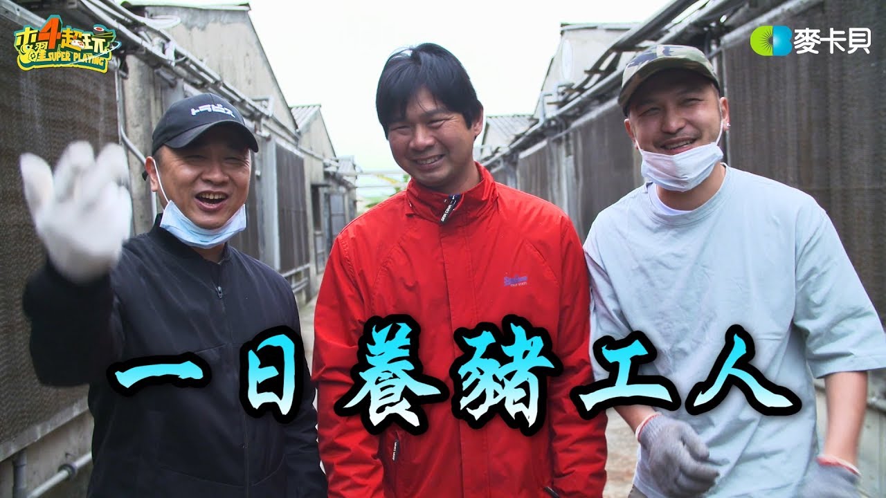 《一日系列第五十六集》這不是小胖特輯!! 邰智源跟KID帶你認識養豬生活~-一日養豬工人