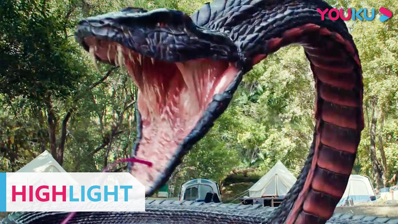 ENGSUB 居然敢拿巨蛇的蛋？这就寻来疯狂复仇！ |【巨蜥 Varanus Priscus】| YOUKU MOVIE | 优酷电影