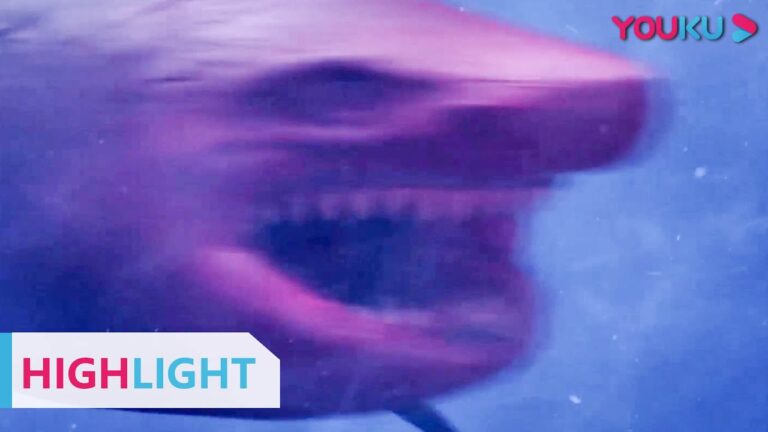 HIGHLIGHT: 为一己私利,对大白鲨进行基因改造,殊不知已闯下大祸! |【血鲨1 Horror Shark】 方力申/周韦彤/文东俊 | YOUKU MOVIE | 优酷电影 hq720