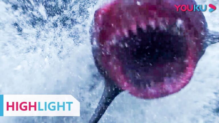 HIGHLIGHT: 为了抓变异鲨鱼,霸气美女当诱饵,太惊险了 |【血鲨1 Horror Shark】 方力申/周韦彤/文东俊 | YOUKU MOVIE | 优酷电影 hq720