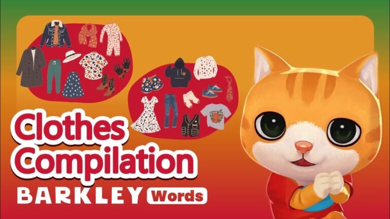 Barkley Words|Clothes Compilation – Learn English Vocabulary For Kids hq720