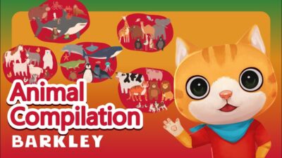 Barkley Words｜Animal Compilation – Learn English Vocabulary For Kids