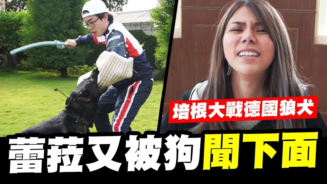 誰來稽查EP.8-培根大戰德國狼犬,之蕾菈又被狗聞下面│WACKYBOYS│反骨│