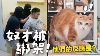 【黃阿瑪的後宮生活】奴才被綁架！貓咪們的反應是？