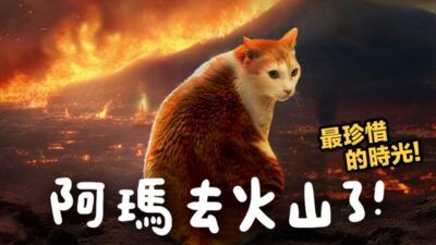 【黃阿瑪的後宮生活】阿瑪去火山了！最珍惜的時光！