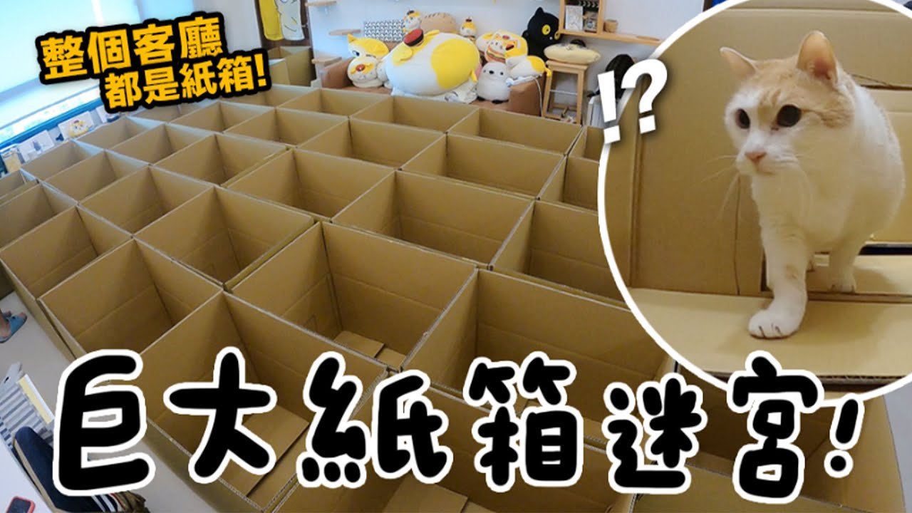 【黃阿瑪的後宮生活】巨大紙箱迷宮!整個客廳都是紙箱!