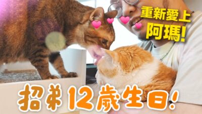 【黃阿瑪的後宮生活】招弟12歲生日！重新愛上阿瑪！