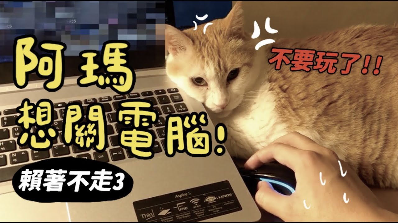 【黃阿瑪的後宮生活】阿瑪想關電腦！賴著不走3