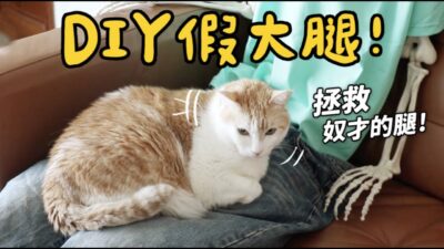 【黃阿瑪的後宮生活】DIY假大腿！拯救奴才的腿！