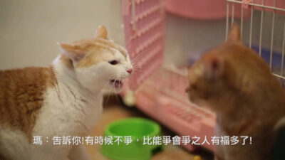 黃阿瑪的後宮生活-後宮阿瑪傳 第一集