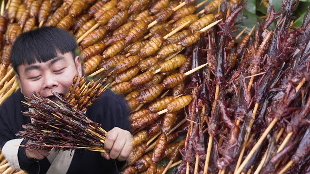 昆虫宴：蚕蛹蚂蚱蜈蚣油炸后沾点辣椒面，高蛋白美味！