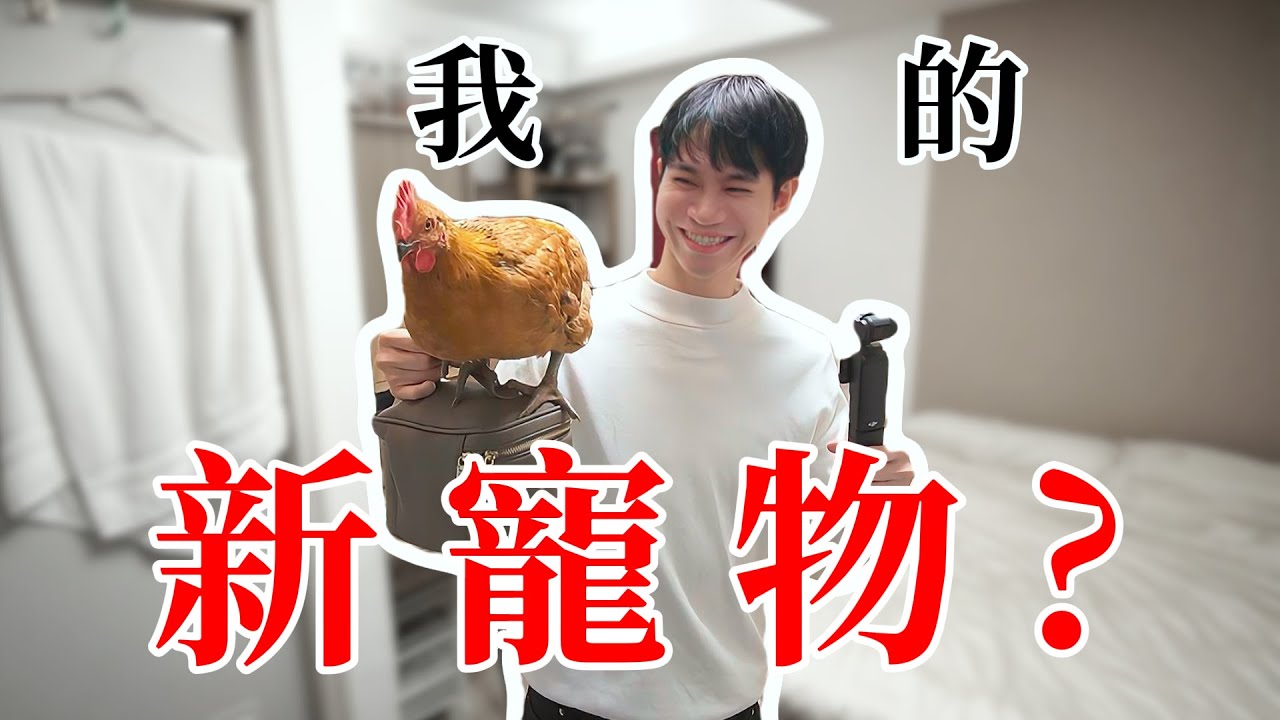 我受不了孤單，養了牠陪伴我…【Andy老師】