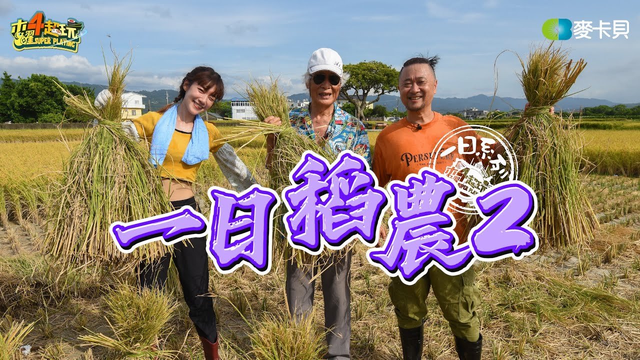《一日系列SP》邰邰再次帶上泱泱下鄉務農？！ 自己的飯自己種！！ – 一日稻農2