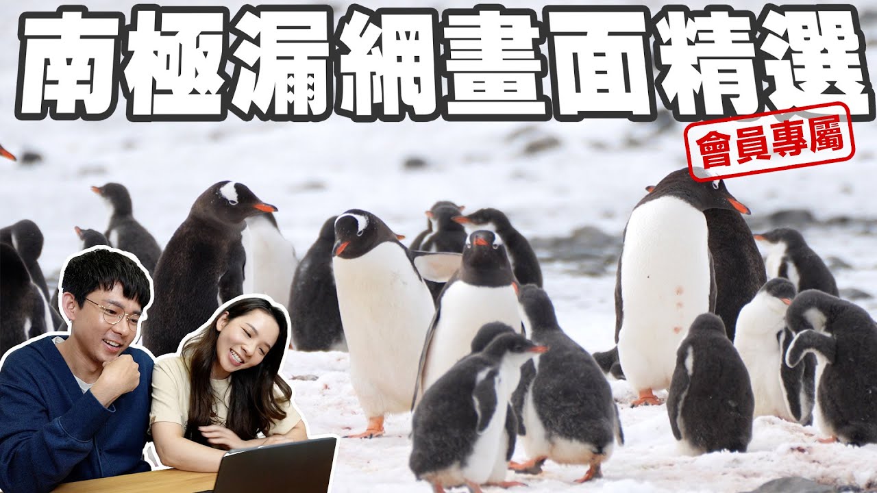 回顧我學到的極地冷知識! 找滴妹一起看南極最精彩的畫面!