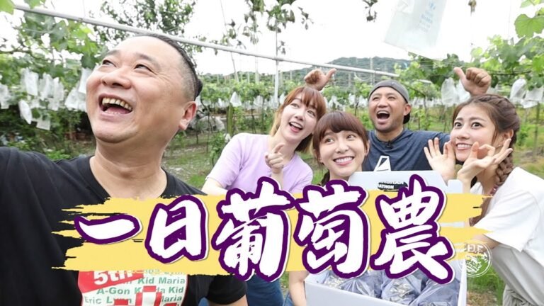 《一日系列第一百三十九集》首次一季系列誕生!邰邰帶上溫妮、泱泱、阿部瑪利亞,讓你知道葡萄怎麼過一生!-一日葡萄果農 hq720