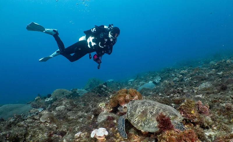 屏東｜墾丁藍洞潛水｜美人魚體驗・ VIP船潛體驗（免證照）-KLOOK