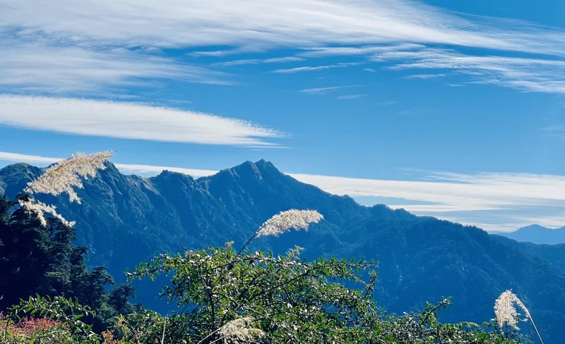 登山包車接駁: 奇萊南華登山口 (台北/新竹/台中出發)-KLOOK