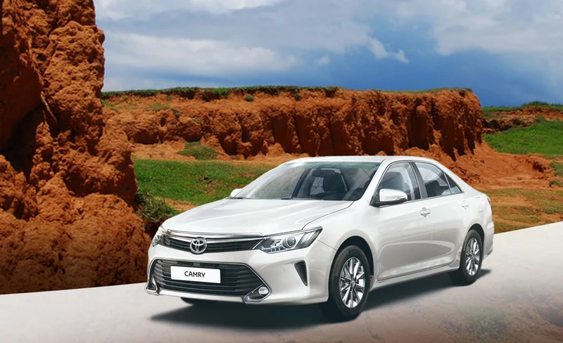 墾丁包車一日遊 : 國立海洋生物博物館 & 鵝鑾鼻＆貓鼻頭＆墾丁森林國家公園(高雄出發)-KLOOK