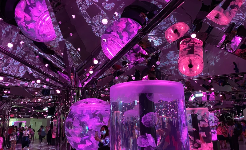 桃園：Xpark水族館＆華泰名品城＆大溪老街(含門票)-KLOOK