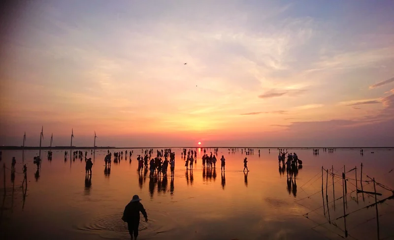 高美濕地＆台中歌劇院＆中社花市＆宮原眼科＆彩虹眷村一日遊 (贈珍珠奶茶)-KLOOK