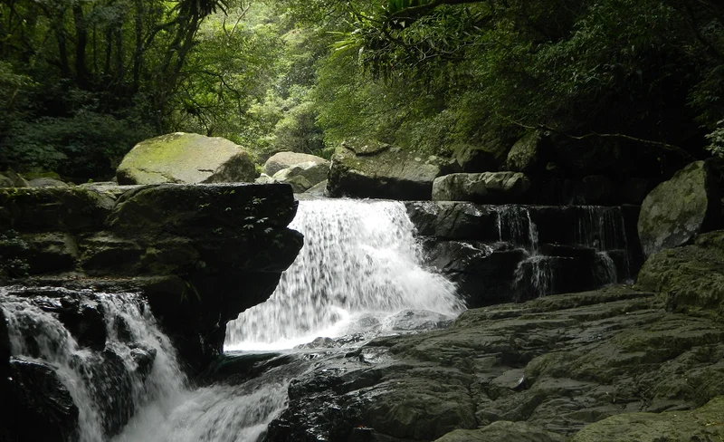 滿月圓國家森林遊樂區門票-KLOOK