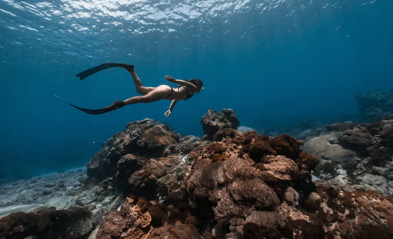 臺東: 綠島自由潛水體驗 (免證照&附海底攝影)-KLOOK