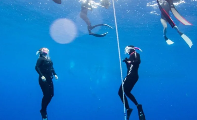 新北: 52龍洞潛水中心 - 自由潛水PADI證照班-KLOOK