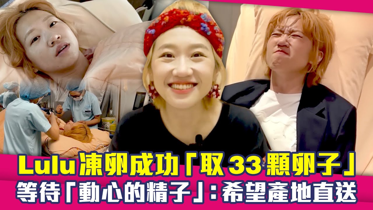 Lulu凍卵成功「取33顆卵子」　等待「動心的精子」：希望產地直送