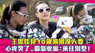 王思佳見10歲浪浪沒人要　心疼哭了..霸氣收編：來住別墅！