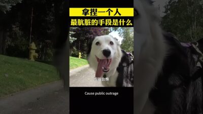 懂博弈謀略的人手段有多狠 #商業思維 #謀略智慧