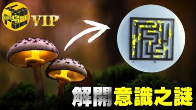 單細胞生物的驚人預言能力！揭開人類大腦意識之謎 [腦洞烏托邦 | 小烏 | Xiaowu]