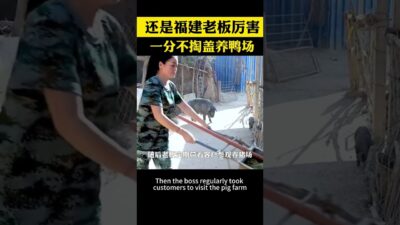 福建老闆太牛了，不花一分錢開起了養鴨場 #資本運作 #商業思維 #商業模式