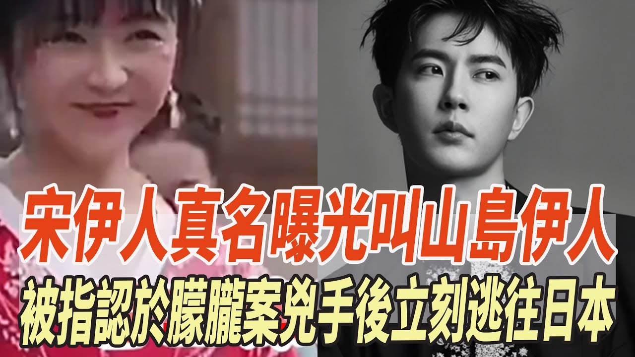 宋伊人真名曝光叫山島伊人！難怪被指認于朦胧案凶手後立刻逃往日本！背後3大保護傘浮出水面太黑暗，于母屢次遭死亡威脅不得翻案！官方下令嚴查！#于朦胧#宋伊人#田海蓉#娛樂大玩家