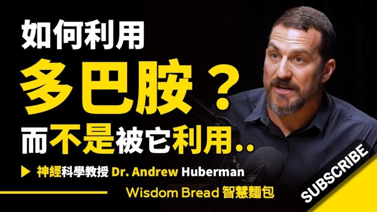 多巴胺的真正作用是什麼?大多數人都理解錯了.. ► 聽聽史丹佛大學教授怎麽說 - Dr. Andrew Huberman 安德魯.胡伯曼博士(中英字幕) hq720