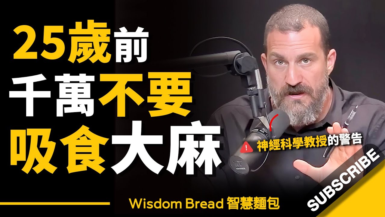 25歲前千萬不要吸食大麻（尤其是16-24歲的青少年）► 聽聽神經科學家怎麼說 – Dr. Andrew Huberman 安德魯．胡伯曼博士（中英字幕）